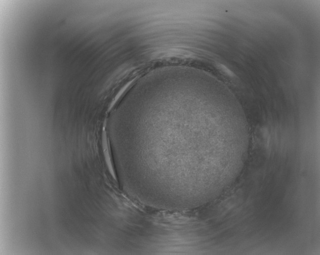 X0000067480774200604150015