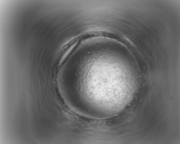 X0000067480775200604150015