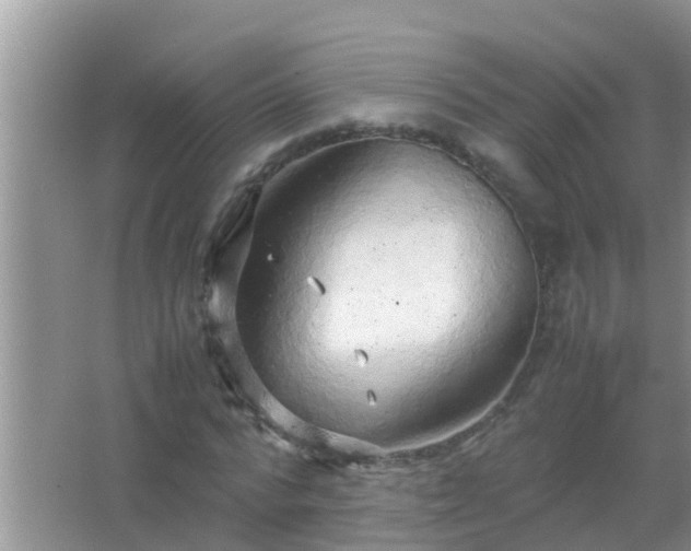 X0000067480776200604150015