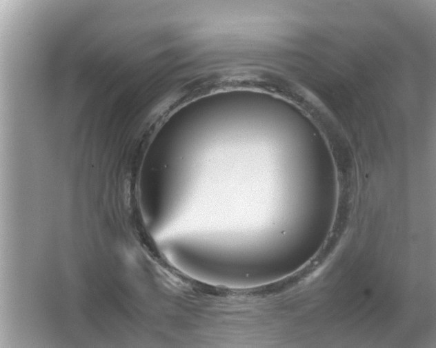 X0000067480777200604150015