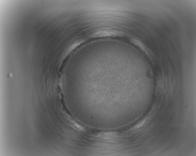 X0000067480778200604150015