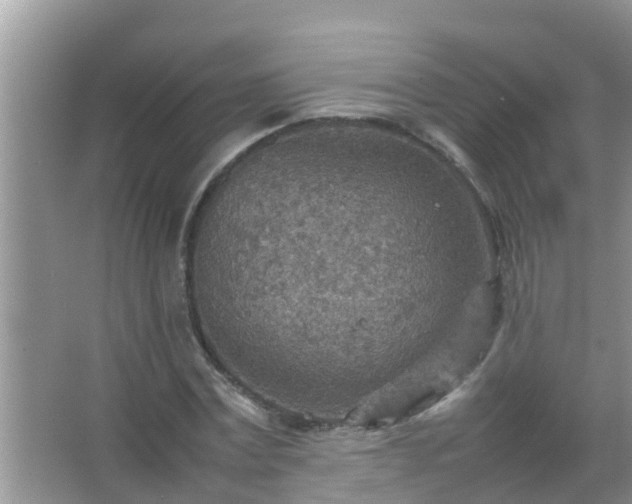 X0000067480779200604150015