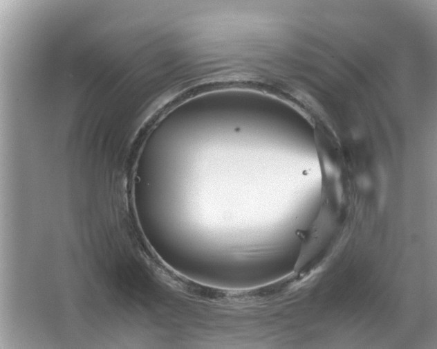 X0000067480781200604150015