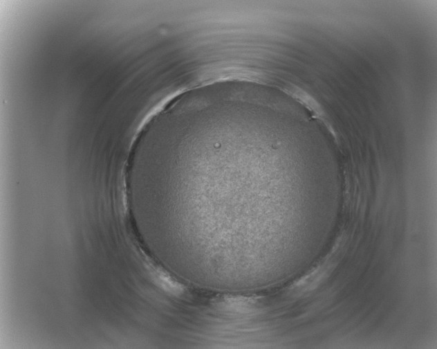 X0000067480782200604150015