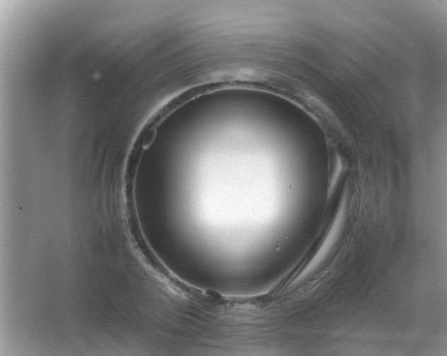 X0000067480784200604150015