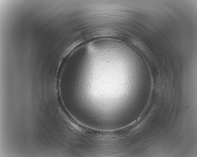 X0000067480786200604150015