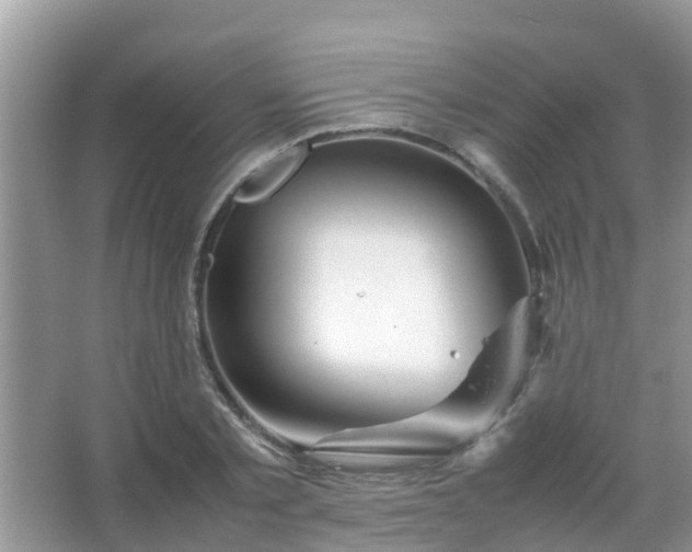 X0000067480789200604150015