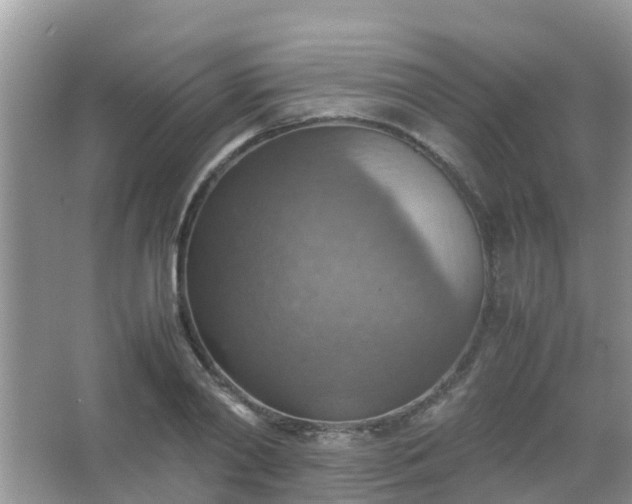 X0000067480790200604150015