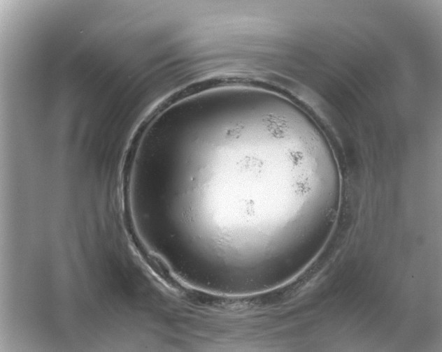 X0000067480791200604150015