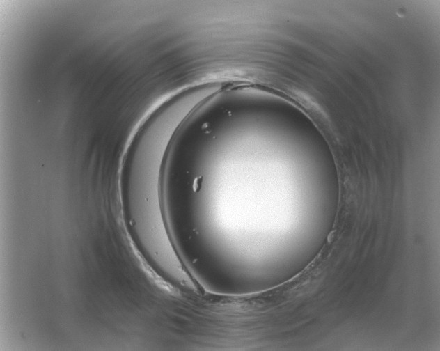 X0000067480792200604150015