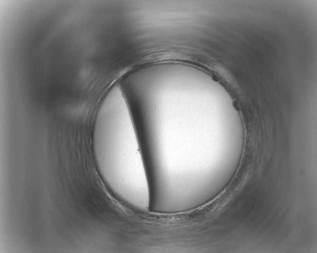 X0000067480793200604150015