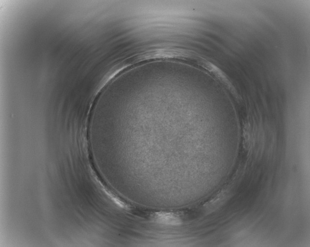 X0000067480794200604150015