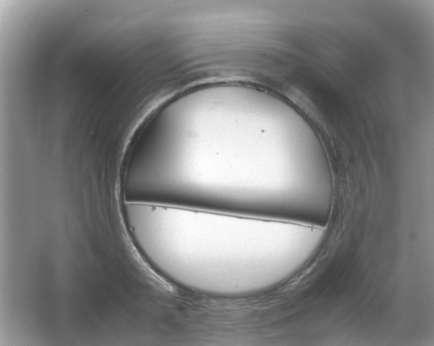 X0000067480797200604150015