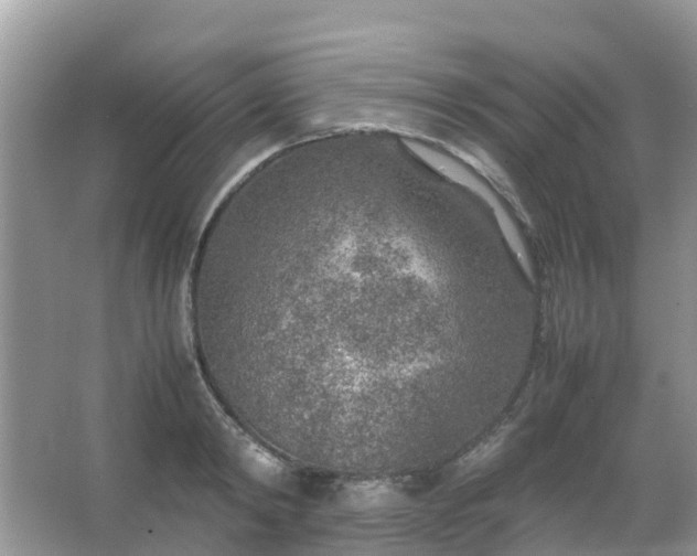 X0000067480798200604150015