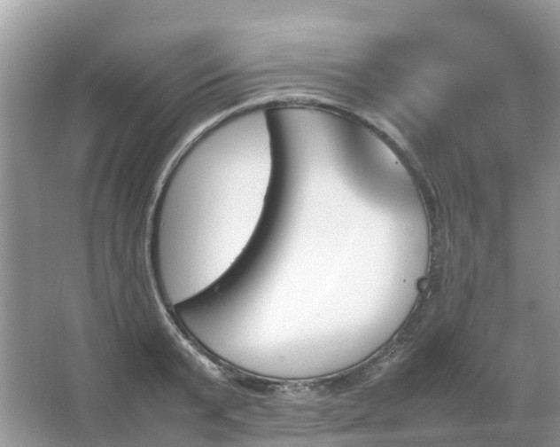 X0000067480799200604150015