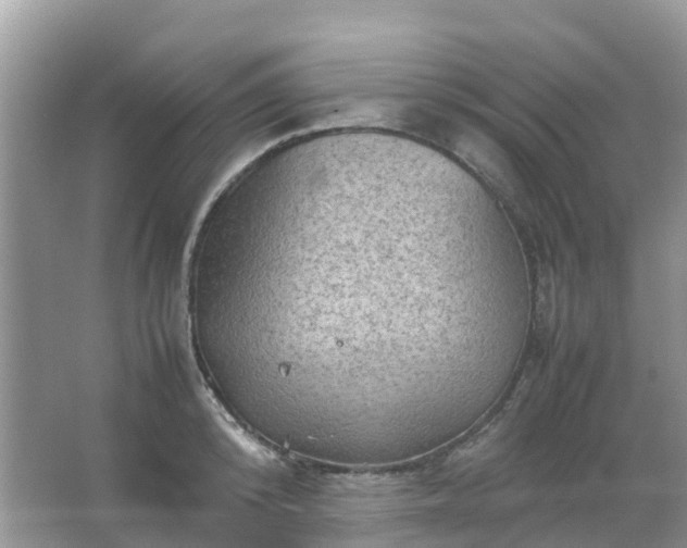 X0000067480800200604150015