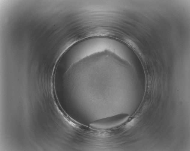 X0000067480802200604150015