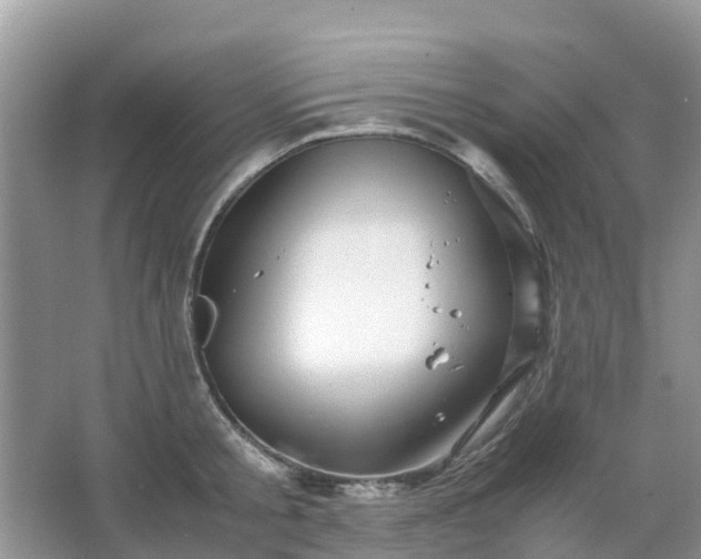 X0000067480805200604150014