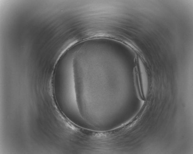 X0000067480806200604150014