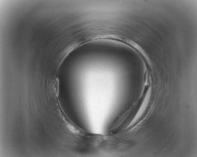 X0000067480809200604150014