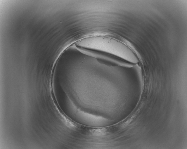 X0000067480810200604150014