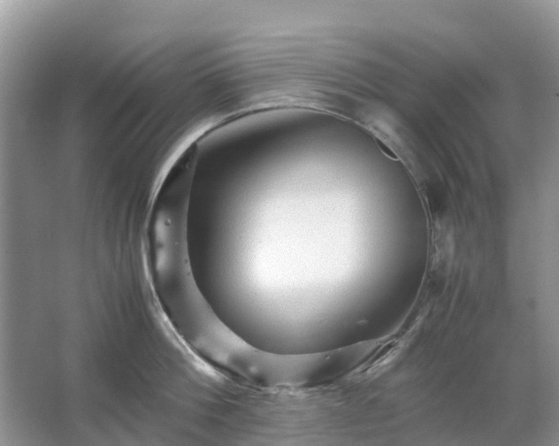 X0000067480812200604150014