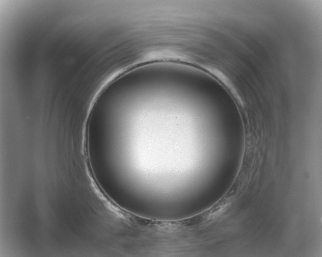 X0000067480815200604150014