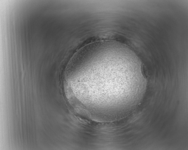 X0000067480817200604150013