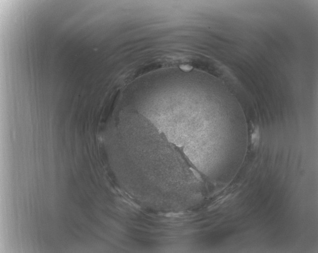 X0000067480819200604150014