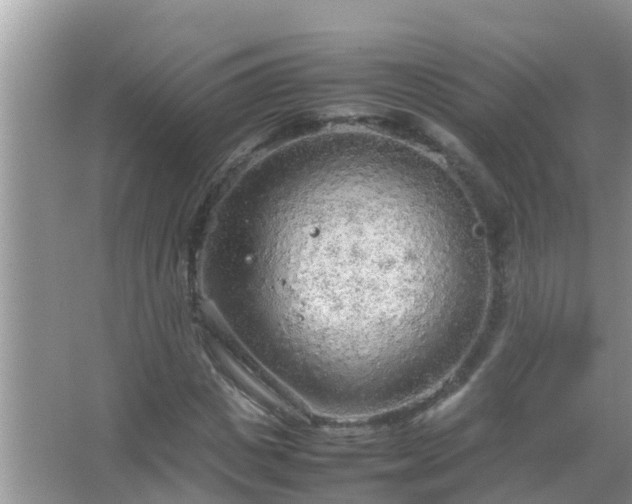 X0000067480825200604150014