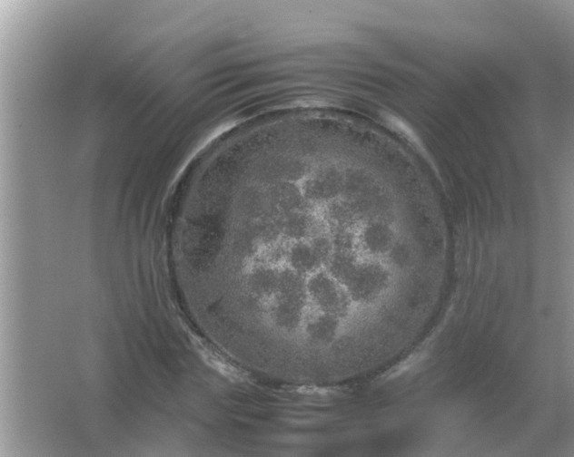 X0000067480827200604150014