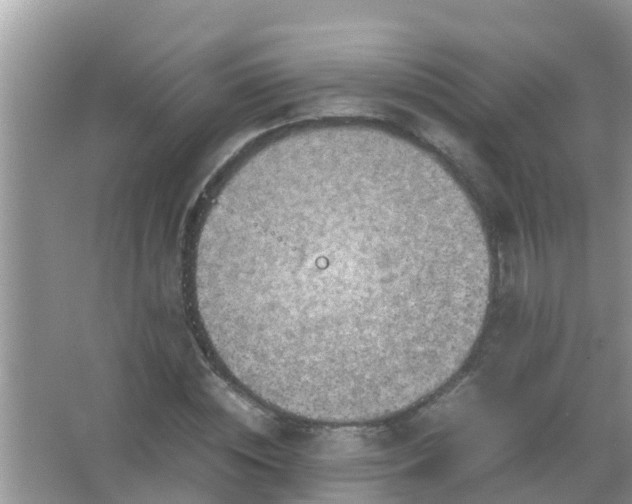 X0000067480828200604150014