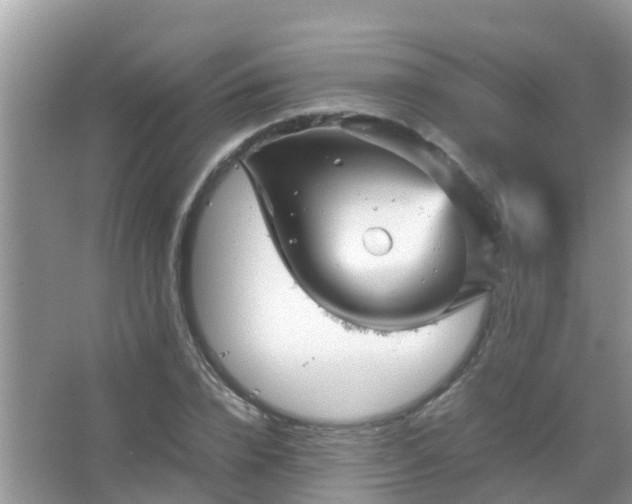 X0000067480832200604150014