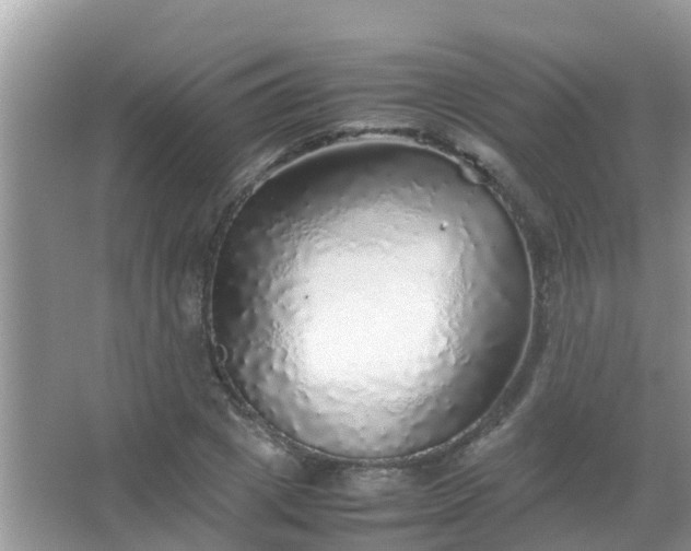 X0000067480833200604150014