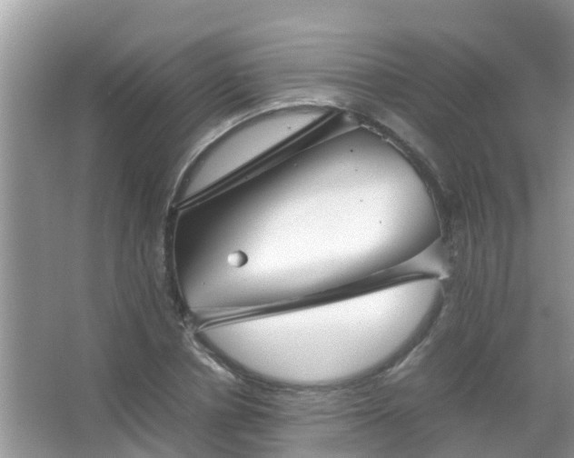 X0000067480834200604150014