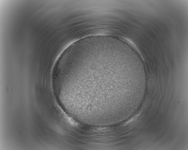 X0000067480835200604150014