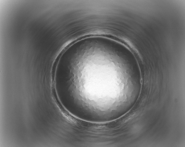 X0000067480837200604150014