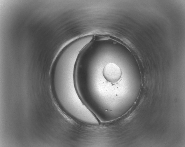 X0000067480838200604150014