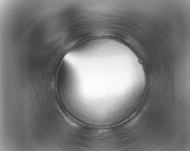 X0000067480841200604150014