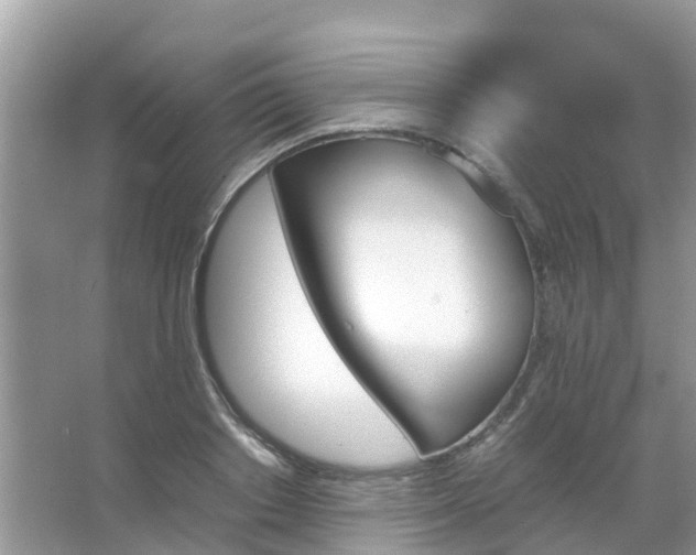 X0000067480842200604150014