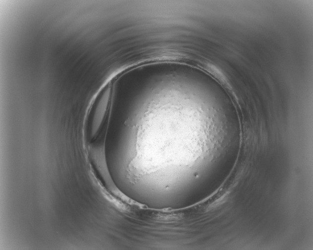 X0000067480843200604150014