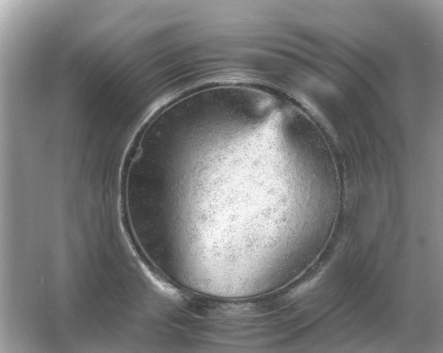 X0000067480845200604150014