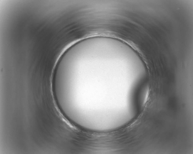 X0000067480846200604150014