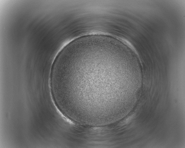 X0000067480847200604150014