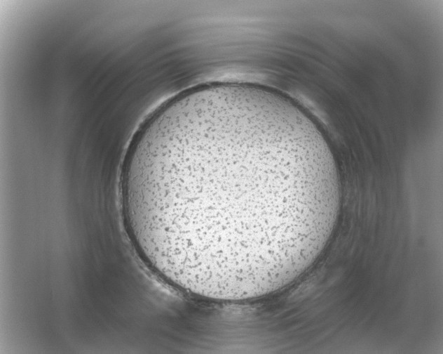 X0000067480848200604150014