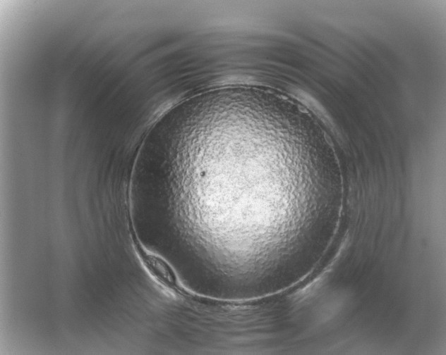 X0000067480849200604150014