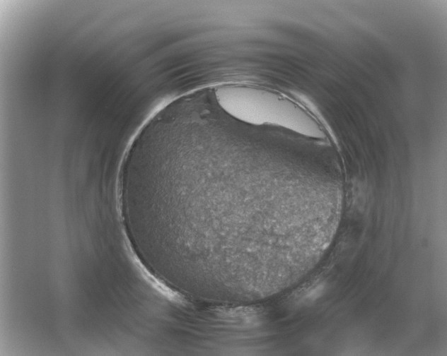 X0000067480851200604150014