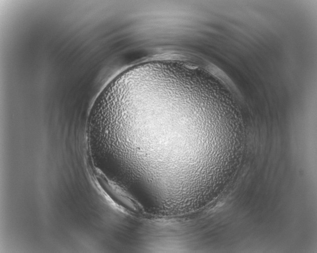 X0000067480852200604150014