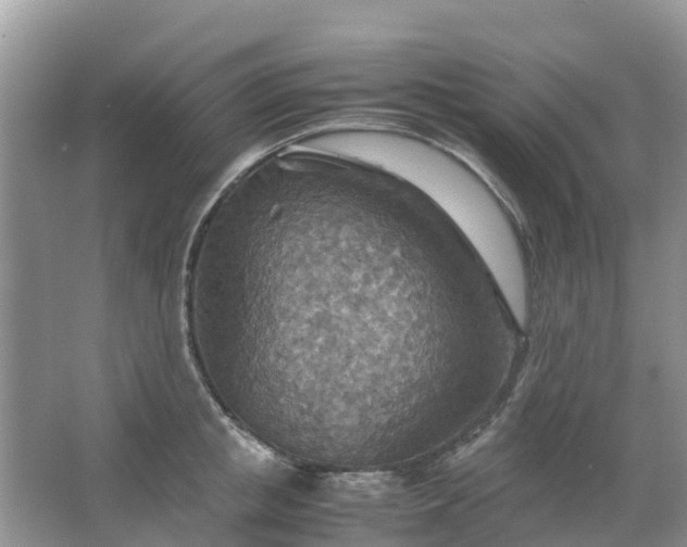 X0000067480853200604150014