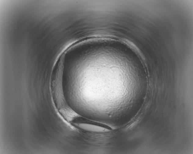 X0000067480855200604150014